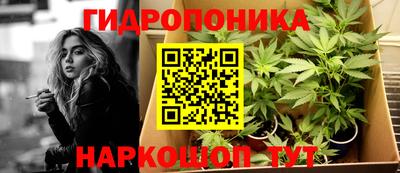 твердый Лесосибирск